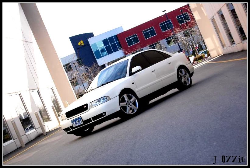 Name:  AudiRsmeet242-1.jpg
Views: 93
Size:  97.2 KB