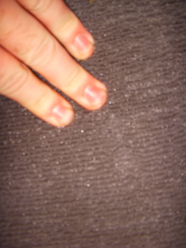 Name: DSCN0962.jpg
Views: 973
Size: 48.5 KB
