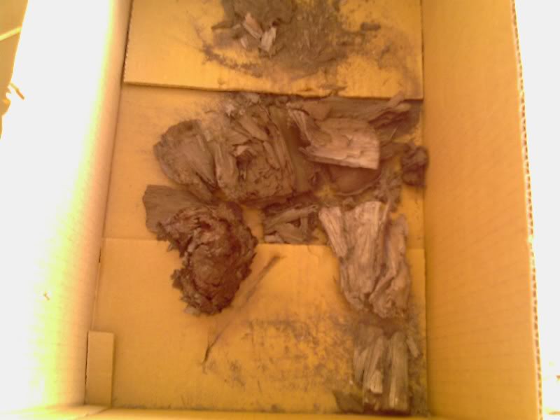 Name:  IMAG0134.jpg
Views: 116
Size:  42.9 KB