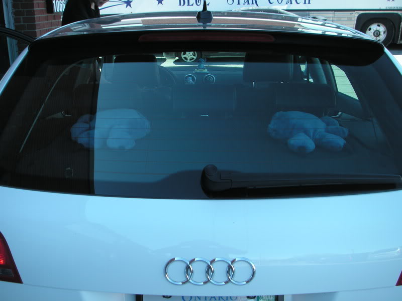 Name: PICT0304.jpg
Views: 74
Size: 45.0 KB
