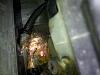 Help! To identify pink residue beneath Combi Valve-20110621-a4-eng-rear-2.jpg