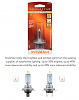 Looking for the correct Bulb-010f5de8d.png