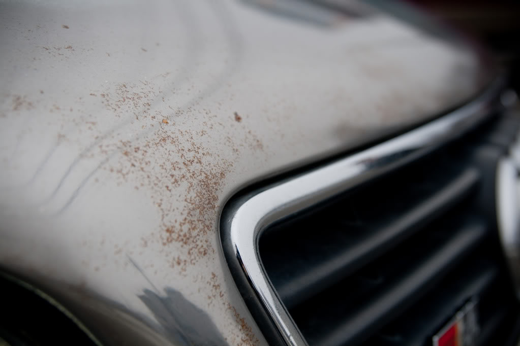 Name:  IMG_3526.jpg
Views: 253
Size:  60.5 KB