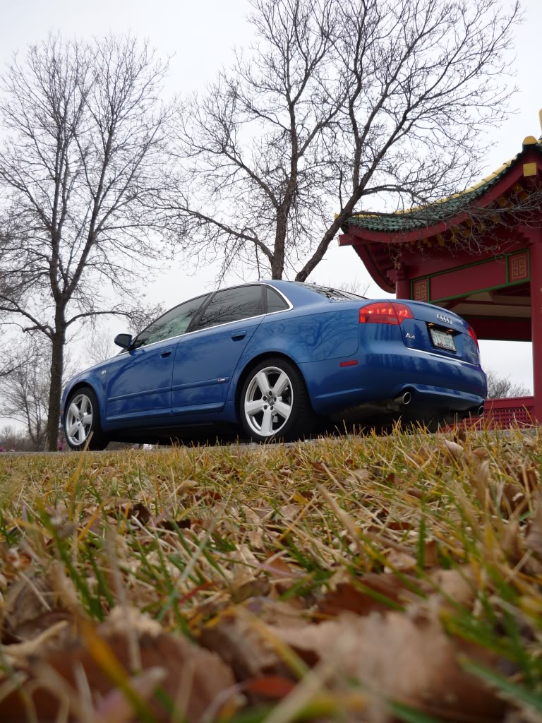 Name:  P1000735.jpg
Views: 500
Size:  231.5 KB