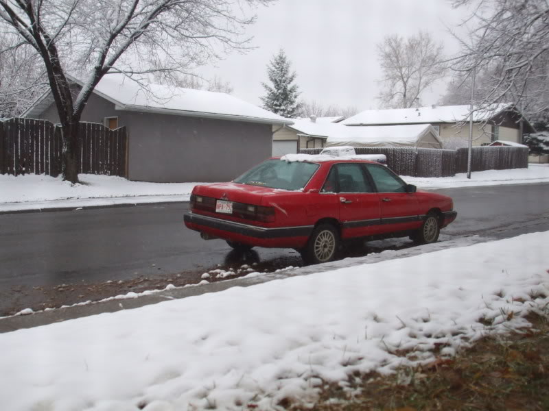 Name:  winter2002.jpg
Views: 71
Size:  75.2 KB