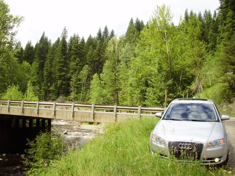 Name:  P7190025.jpg
Views: 89
Size:  182.2 KB