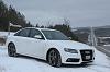 White on white-a4sm.jpg