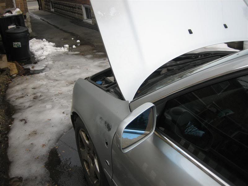 Name:  IMG_5633Medium.jpg
Views: 120
Size:  49.5 KB