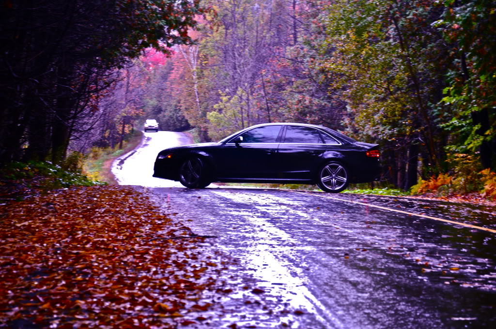 Name: DSC_0732.jpg
Views: 121
Size: 251.6 KB