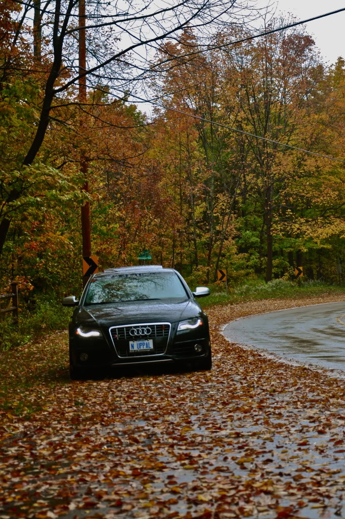 Name: DSC_0651.jpg
Views: 90
Size: 298.7 KB