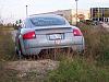 New pics-100_0786.jpg