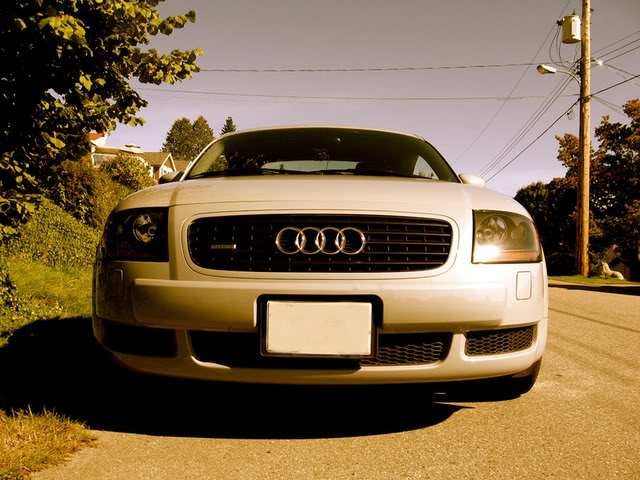 Name:  TT_04Fun1.jpg
Views: 101
Size:  83.5 KB
