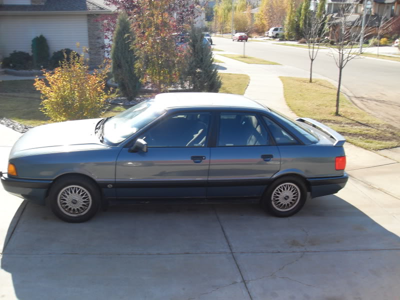 Name:  SDC10041.jpg
Views: 52
Size:  111.4 KB