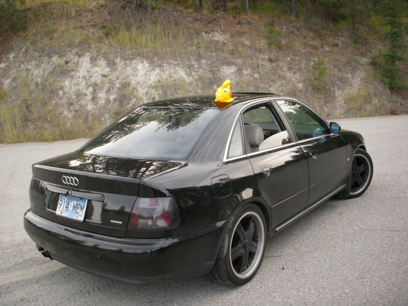 Name: DSCN0436.jpg
Views: 28
Size: 96.1 KB