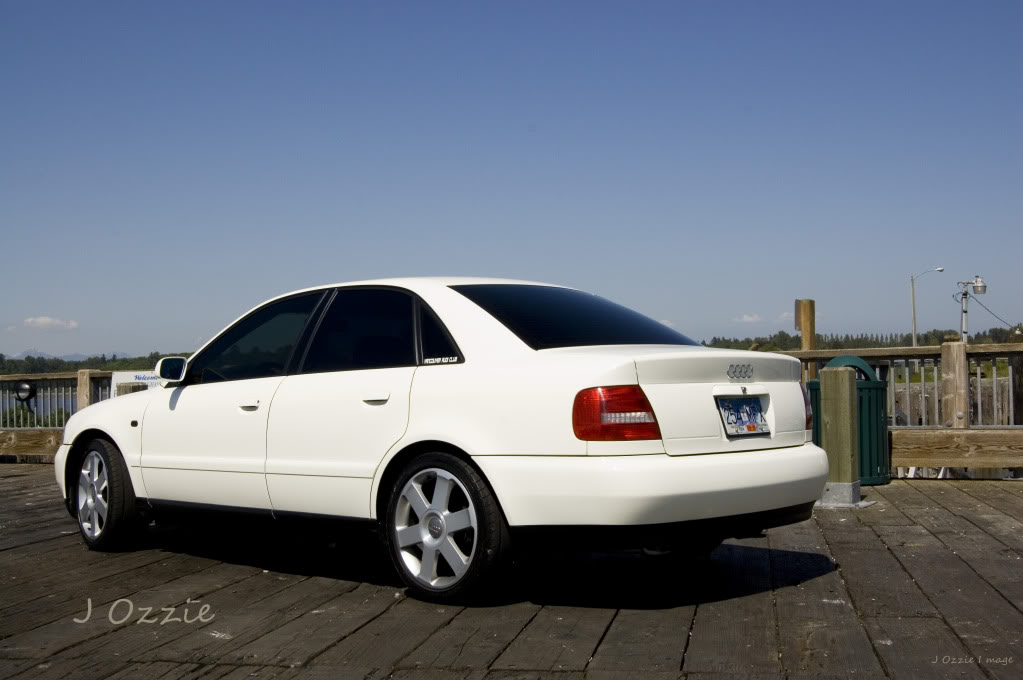 Name:  JOzzie-1.jpg
Views: 34
Size:  85.0 KB