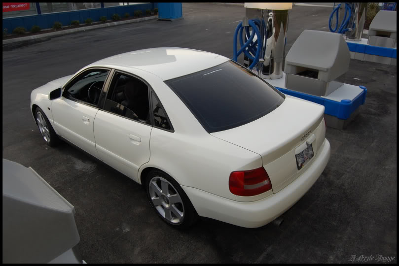 Name:  NewRimphotoshoot037.jpg
Views: 75
Size:  64.0 KB